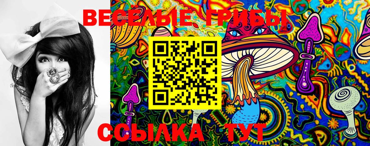 Псилоцибиновые грибы Magic Shrooms  Вход с VPN  наркотики  Псилоцибиновые грибы Cubensis  Тобольск 